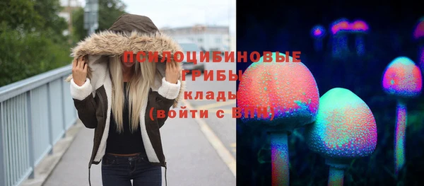 каннабис Покачи
