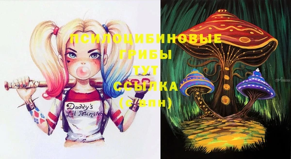 первитин Арсеньев