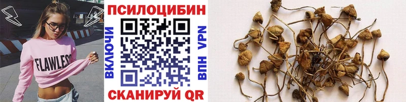 даркнет сайт  Асбест  Псилоцибиновые грибы Magic Shrooms 